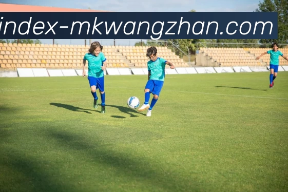 MK网站APP 封面图